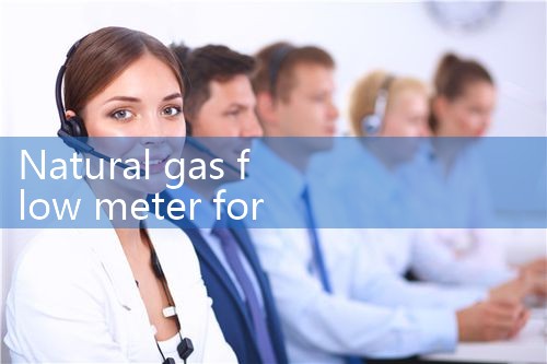 natural gas flow meter for boiler|balo meter
