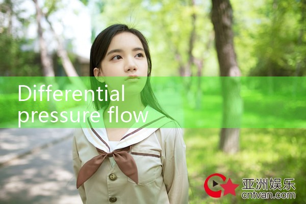 differential pressure flow meter|digital flow meter