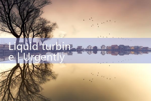 liquid turbine|digital flow meter