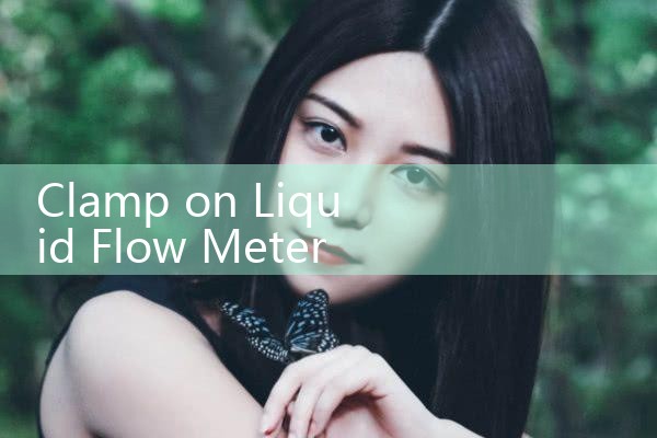 clamp on liquid flow meter|digital flow meter