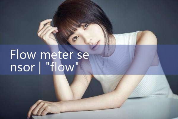 flow meter sensor|mass flow meter