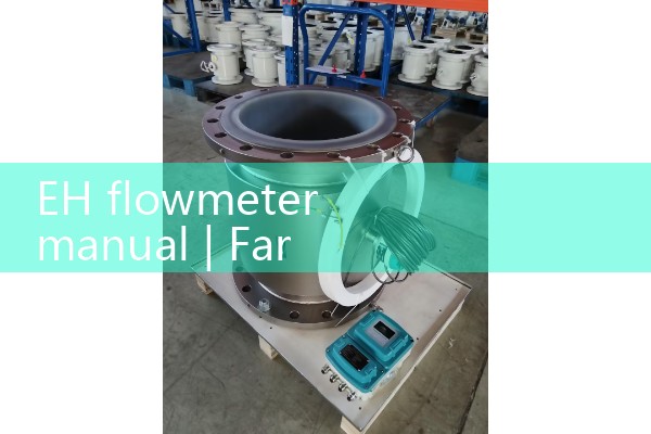 EH flowmeter manual