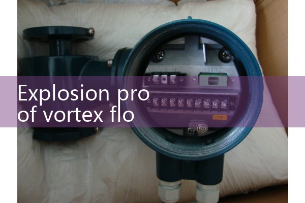 Explosion proof vortex flowmeter manufacturer