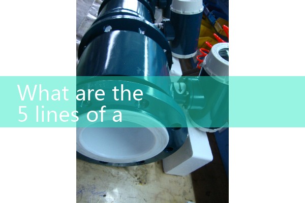 Flow meter for measuring gas flow rate