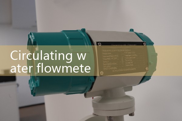 Circulating water flowmeter