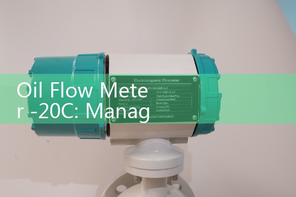 Oil Flow Meter -20C: Managing Fluid Solidification in Northern Field Lines