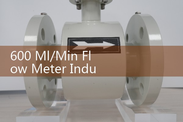 600 Ml/Min Flow Meter Industrial Calibration Protocols