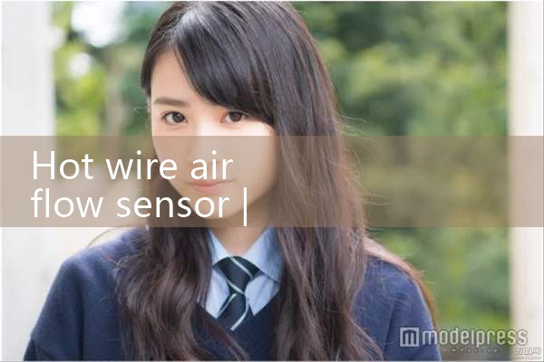 hot wire air flow sensor|rotameter flow meter