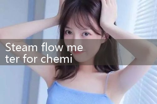 steam flow meter for chemical plant|balo meter