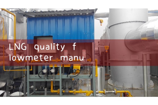 LNG mass flowmeter manufacturer