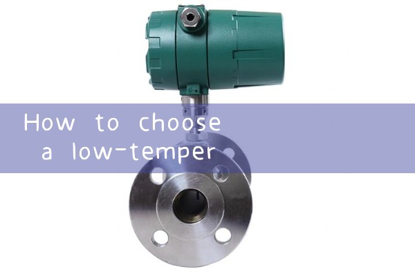 Beihai Low Temperature Mass Flow Meter Manufacturer