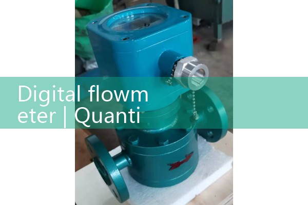 Digital flowmeter