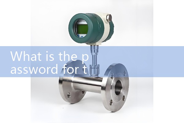 Electromagnetic flowmeter password