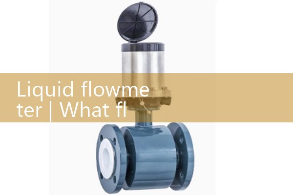 Liquid flowmeter