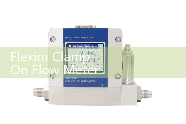 Flexim Clamp On Flow Meter Sizing: Portable Ultrasonic Non-Invasive Energy Sizing Systems