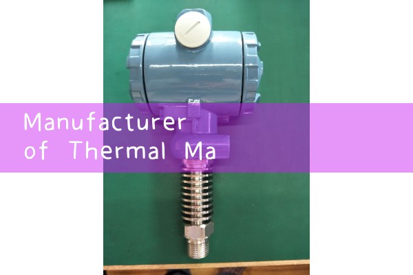 Manufacturer of thermal mass flowmeter