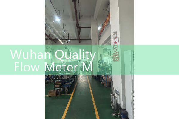 Wuhan Quality Flow Meter Manufacturer