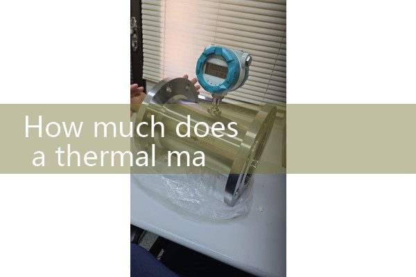 Thermal mass flowmeter manufacturer