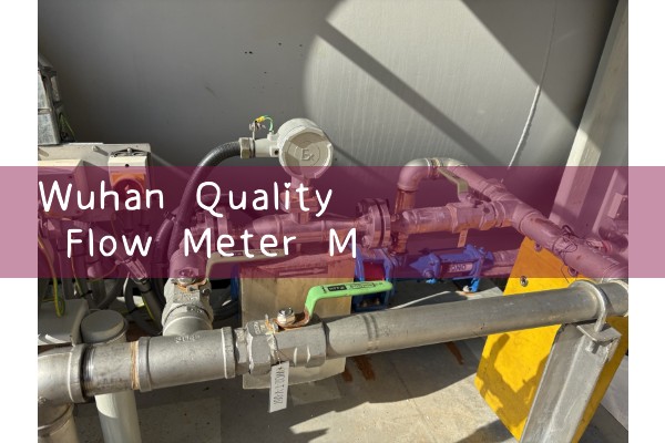 Wuhan Quality Flow Meter Manufacturer