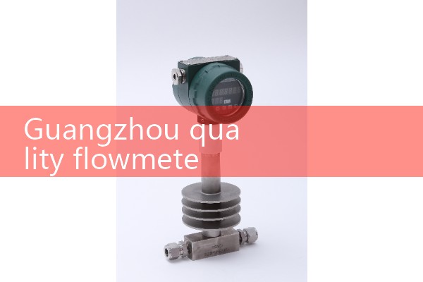 Guangzhou Quality Flow Meter Selection Manufacturer